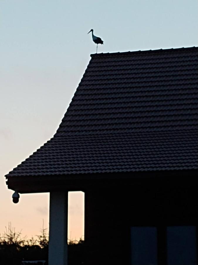 Dwa Wiatry Trygort Exterior foto